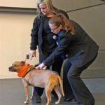 ASPCA Funds Pet Microchip Scanners for 86 NYPD Precincts and Housing Police Service Areas
