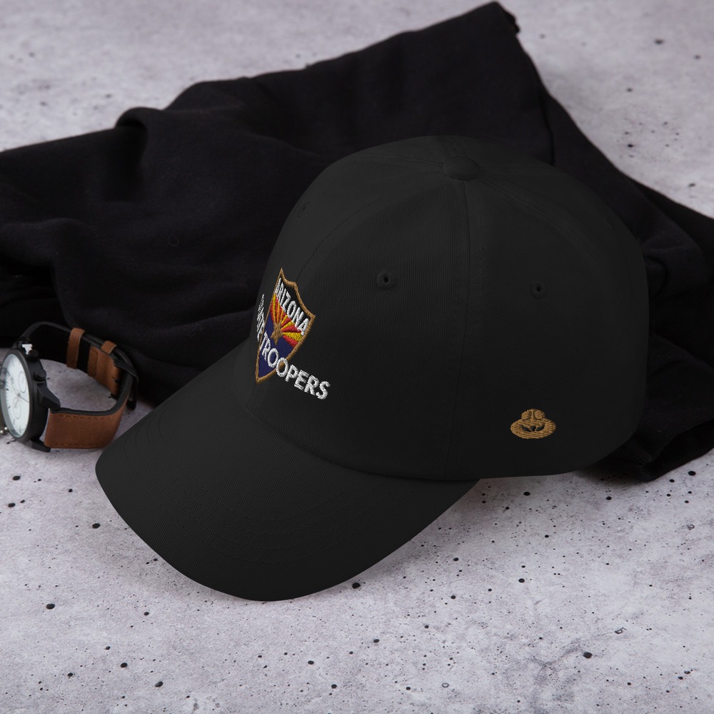 Color Shield - Dad hat - Image 5