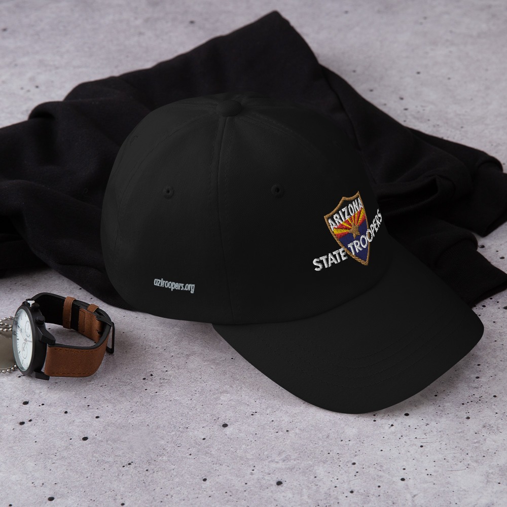 Color Shield - Dad hat - Image 4