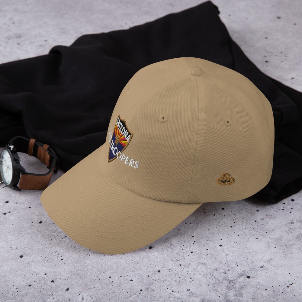 Color Shield - Dad hat - Image 21