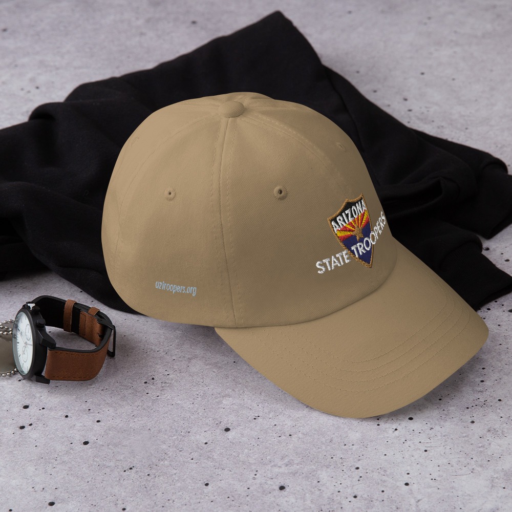 Color Shield - Dad hat - Image 20