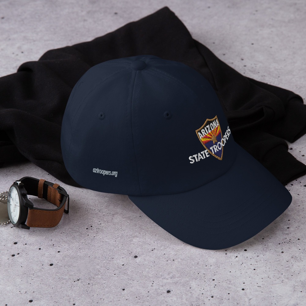 Color Shield - Dad hat - Image 8