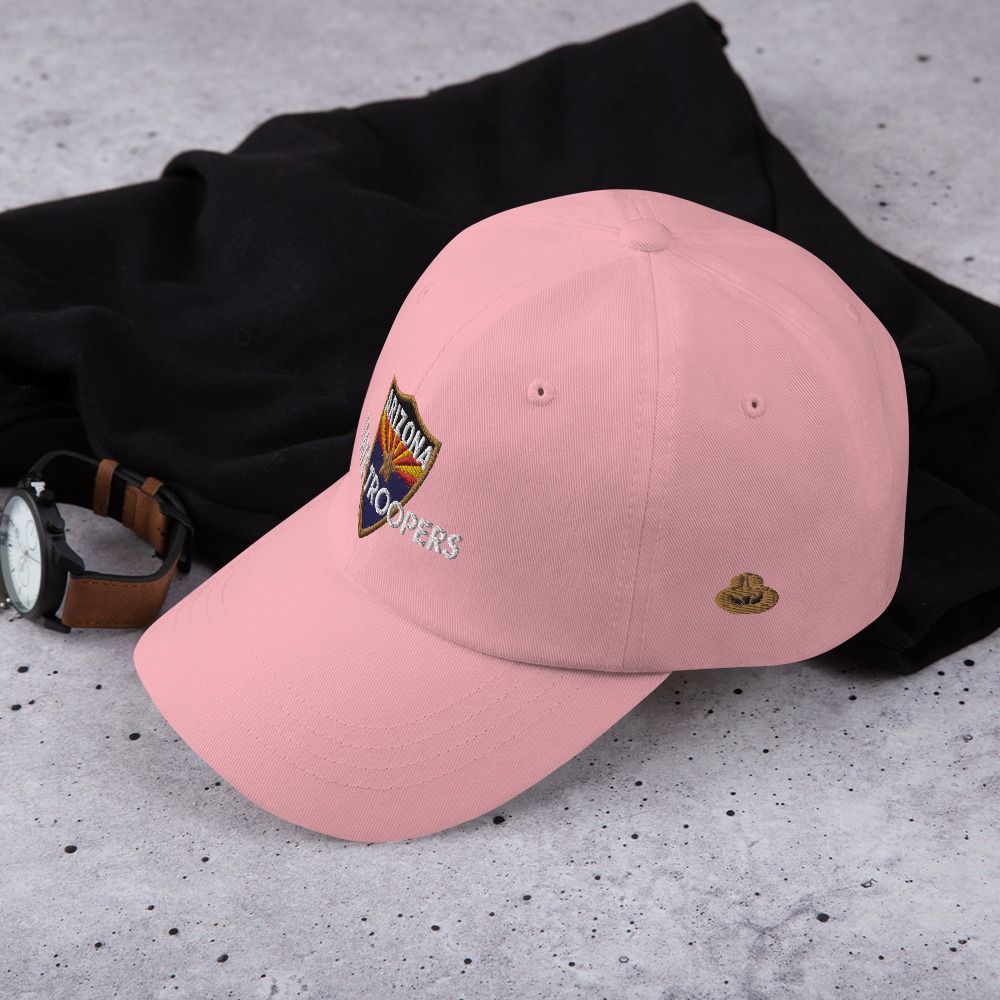 Color Shield - Dad hat - Image 17
