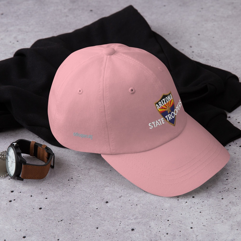 Color Shield - Dad hat - Image 16