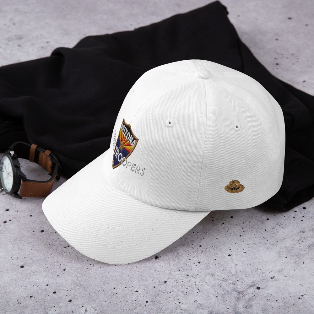 Color Shield - Dad hat - Image 24