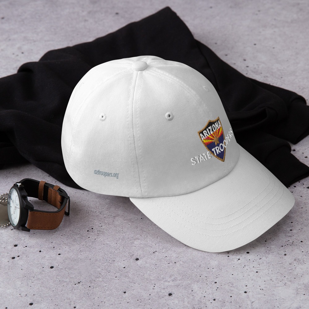 Color Shield - Dad hat - Image 23