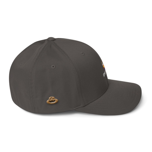 FlexFit Sized Cap - Image 6
