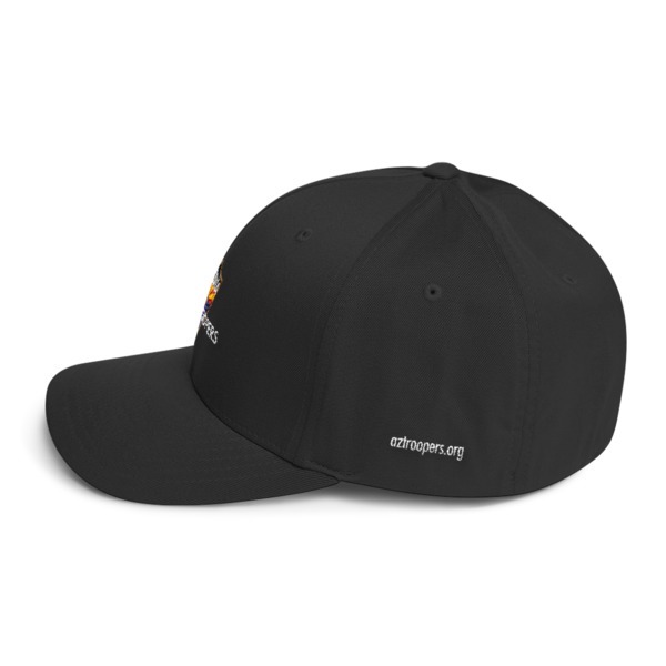 FlexFit Sized Cap - Image 3