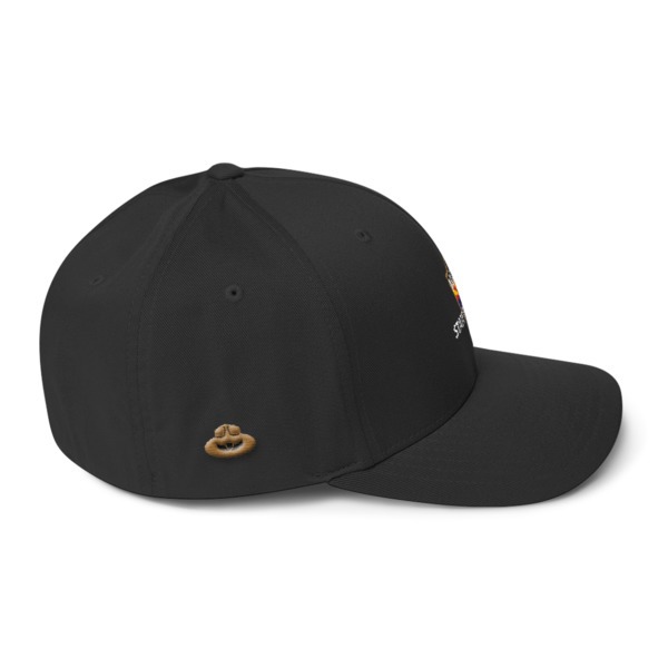 FlexFit Sized Cap