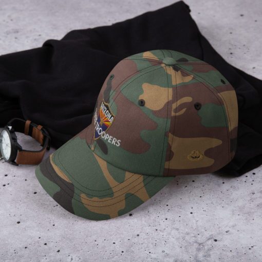 Color Shield - Dad hat - Image 13