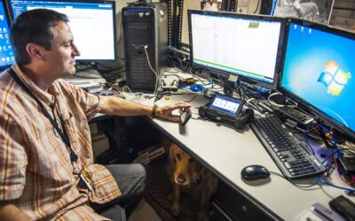 The Path Forward: Invest in Arizonaโs Safety