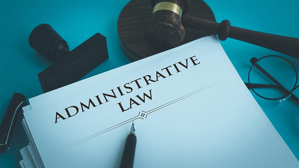 Need Admin Legal help?